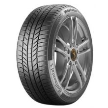 225/60 R17 TS870P 99H FR 3PMSF