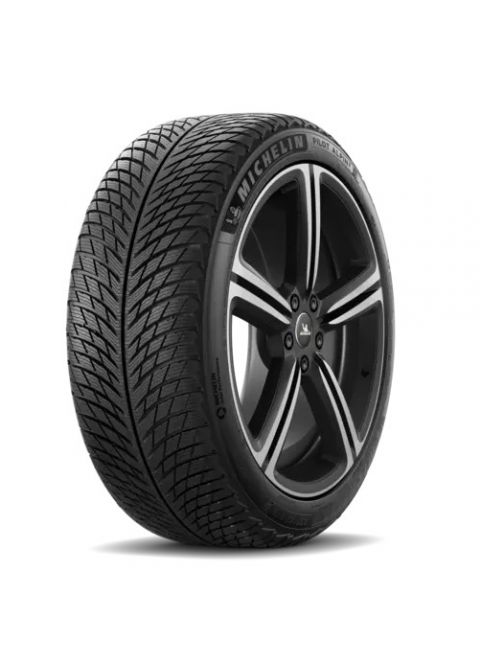 225/45VR19  MICHELIN TL PILOT ALPIN 5 XL        (EU) 96V *E*