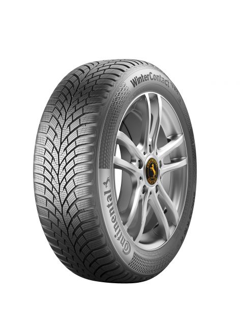 225/45 R17 TS870 94H XL FR 3PMSF