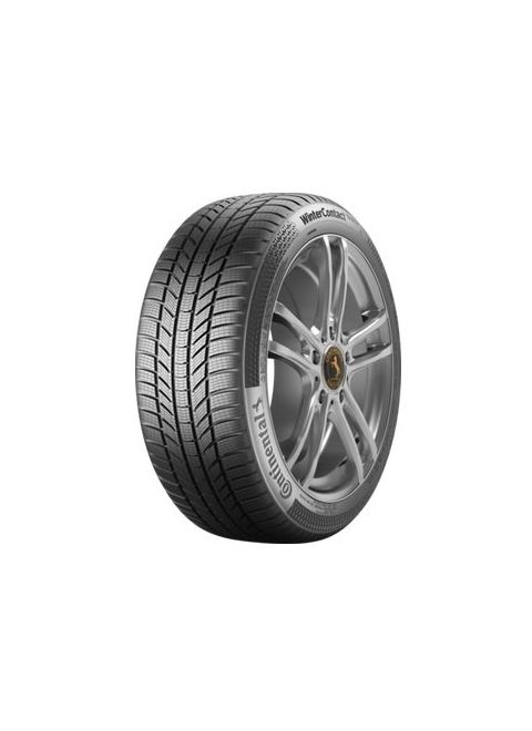 225/60 R17 TS870P 99H FR 3PMSF